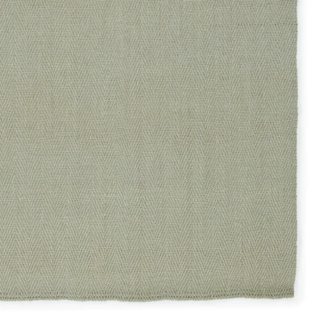 Ranier Natural Solid Green Area Rug (5'X8') large image 