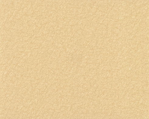 Tossed Fibers Tan Wallpaper