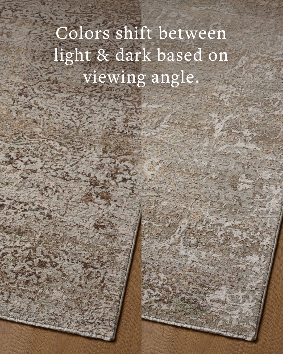 Loloi Aylin Rug, 1'6" length x 1'6" width View 5