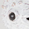 Spike II (Large) 10L x 6W Off-White Ceramic Puffer Fish thumbnail 6