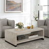 Bosk White Washed Coffee Table thumbnail 3