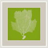 Surya Wall Decor thumbnail 0