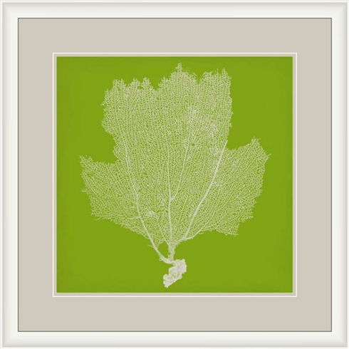 Surya Wall Decor