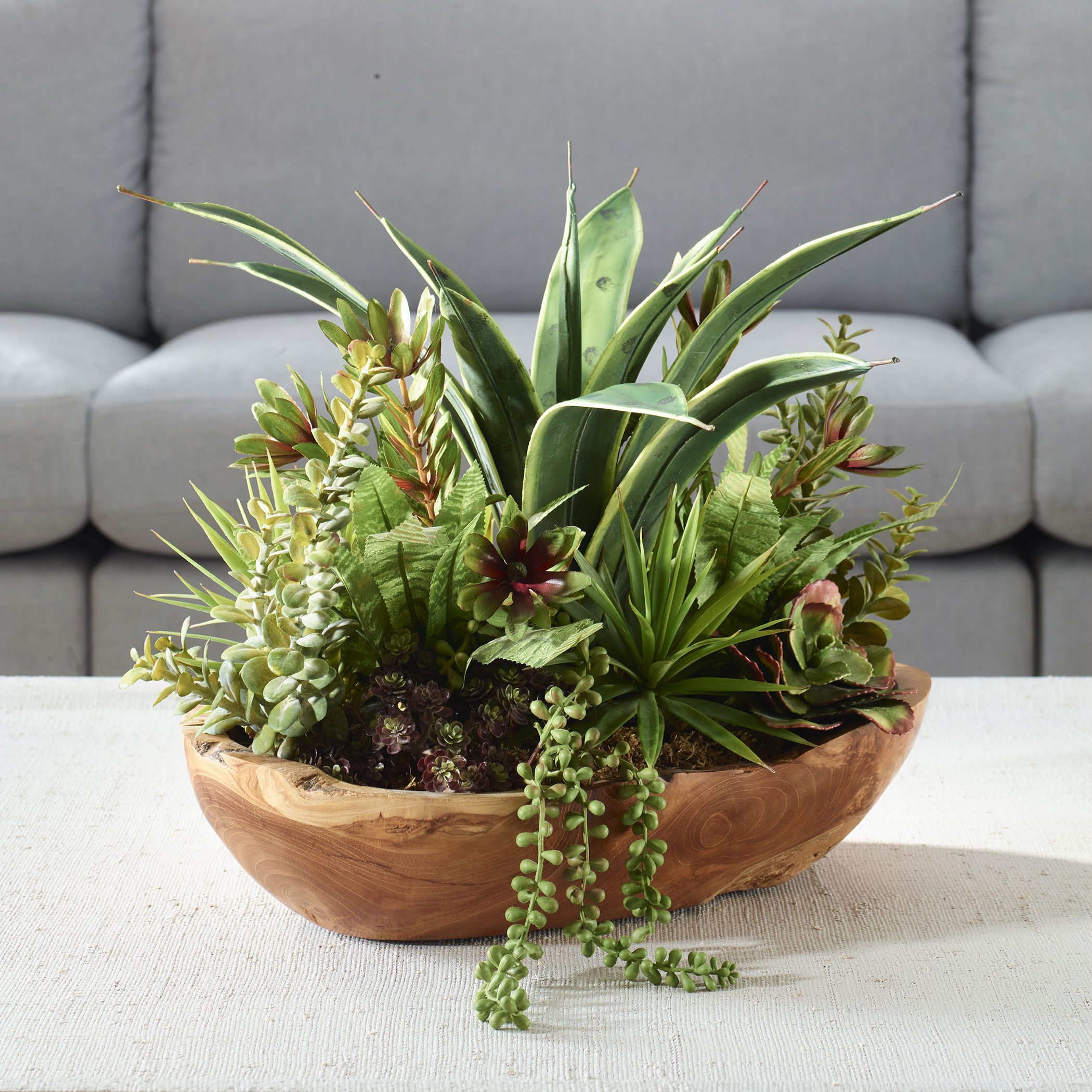 Salar Succulents In Teak Bowl large image 