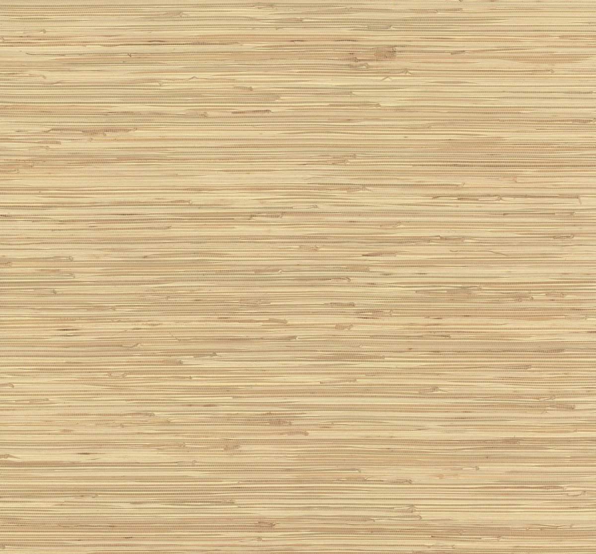 River Grass Beige Wallpaper, by York Wall, 24' length x 3' width x 0.02" depth