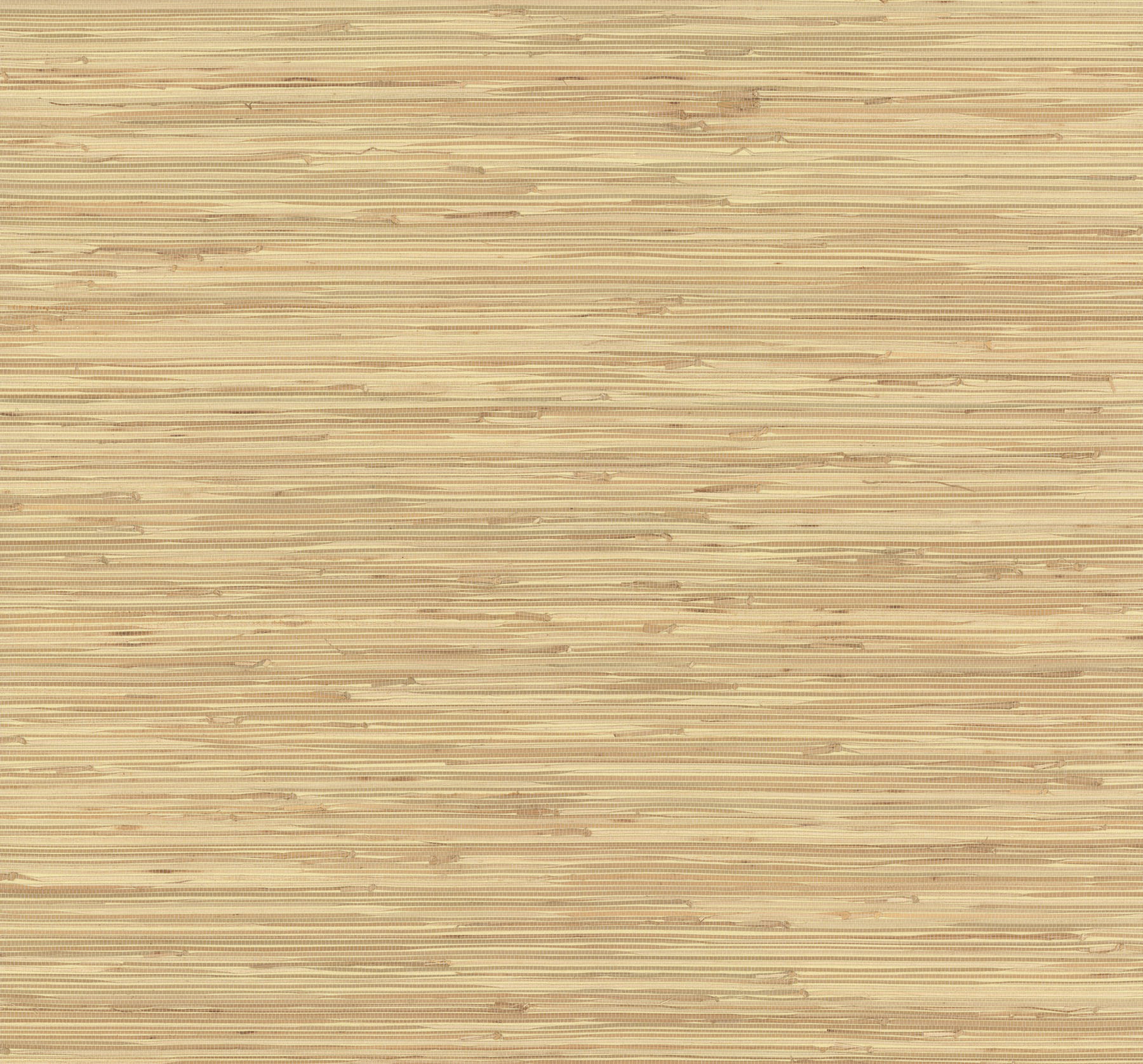 River Grass Beige Wallpaper large image 