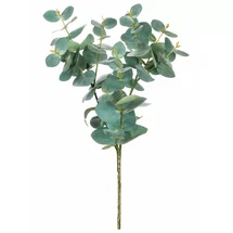 Online Designer Bedroom Eucalyptus Arrangement
