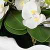 Opulence Orchid Centerpiece With Bowl, Artificial Plants & Flower by Uttermost, 26" width x 12" height x 13" depth thumbnail 3