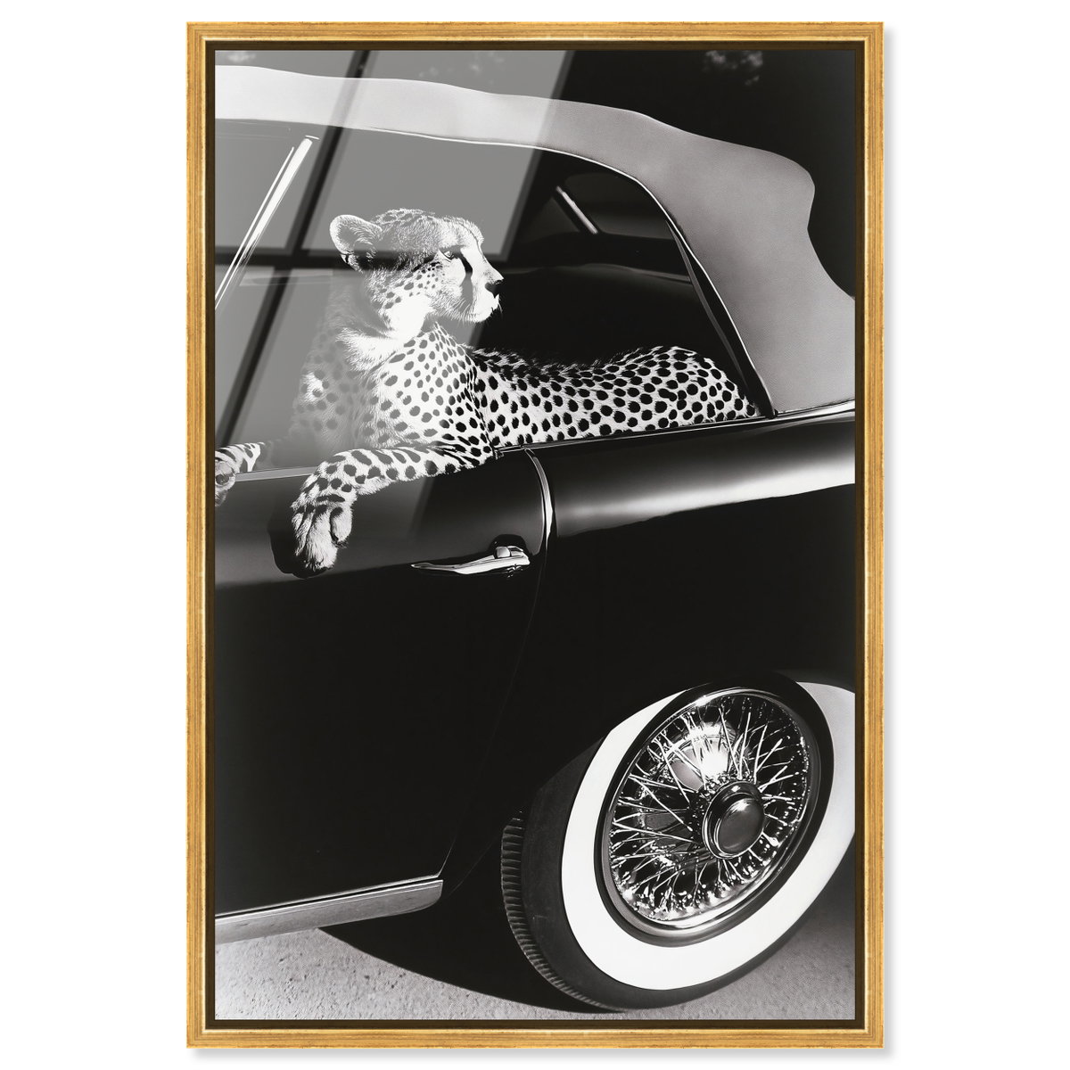 Convertible Feline I (No Embellishment), Art by Oliver Gal,  20x30 View 1