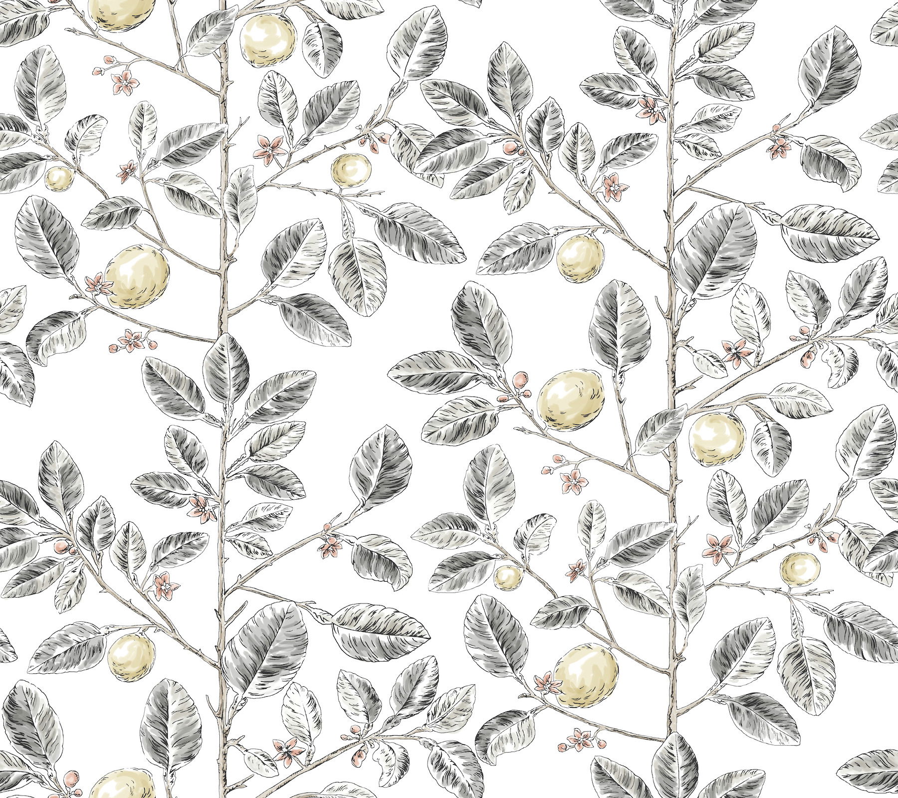 Limoncello Toile Black Wallpaper large image 