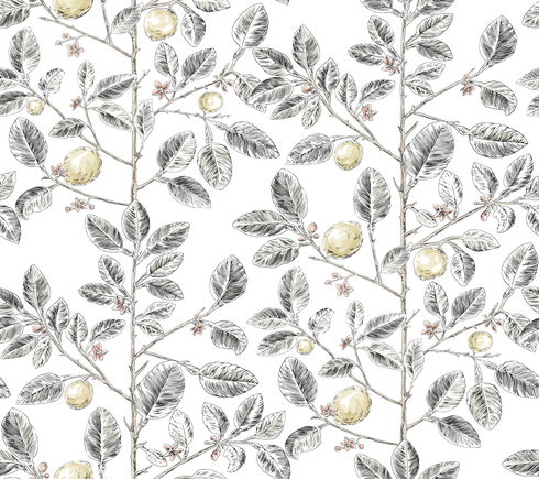 Limoncello Toile Black Wallpaper