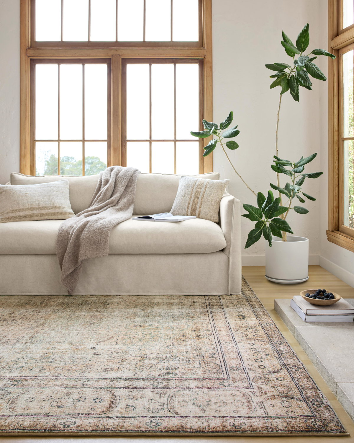 Loloi II Margot Rug, 5' length x 7'6" width View 8