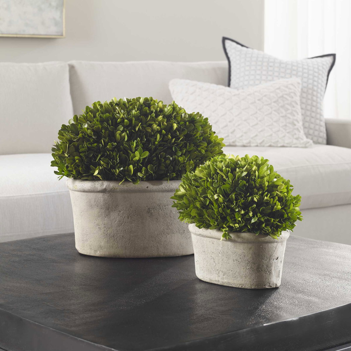 Oval Domes Preserved Boxwood Set/2, Artificial Plants & Flower by Uttermost, 14" width x 12" height x 8" depth View 4