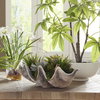 Seaside Breeze Succulents, Artificial Plants & Flower by Uttermost, 23" width x 10" height x 14" depth thumbnail 2