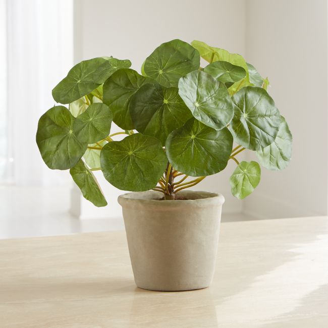 Online Designer Combined Living/Dining Artificial Potted Nasturtium