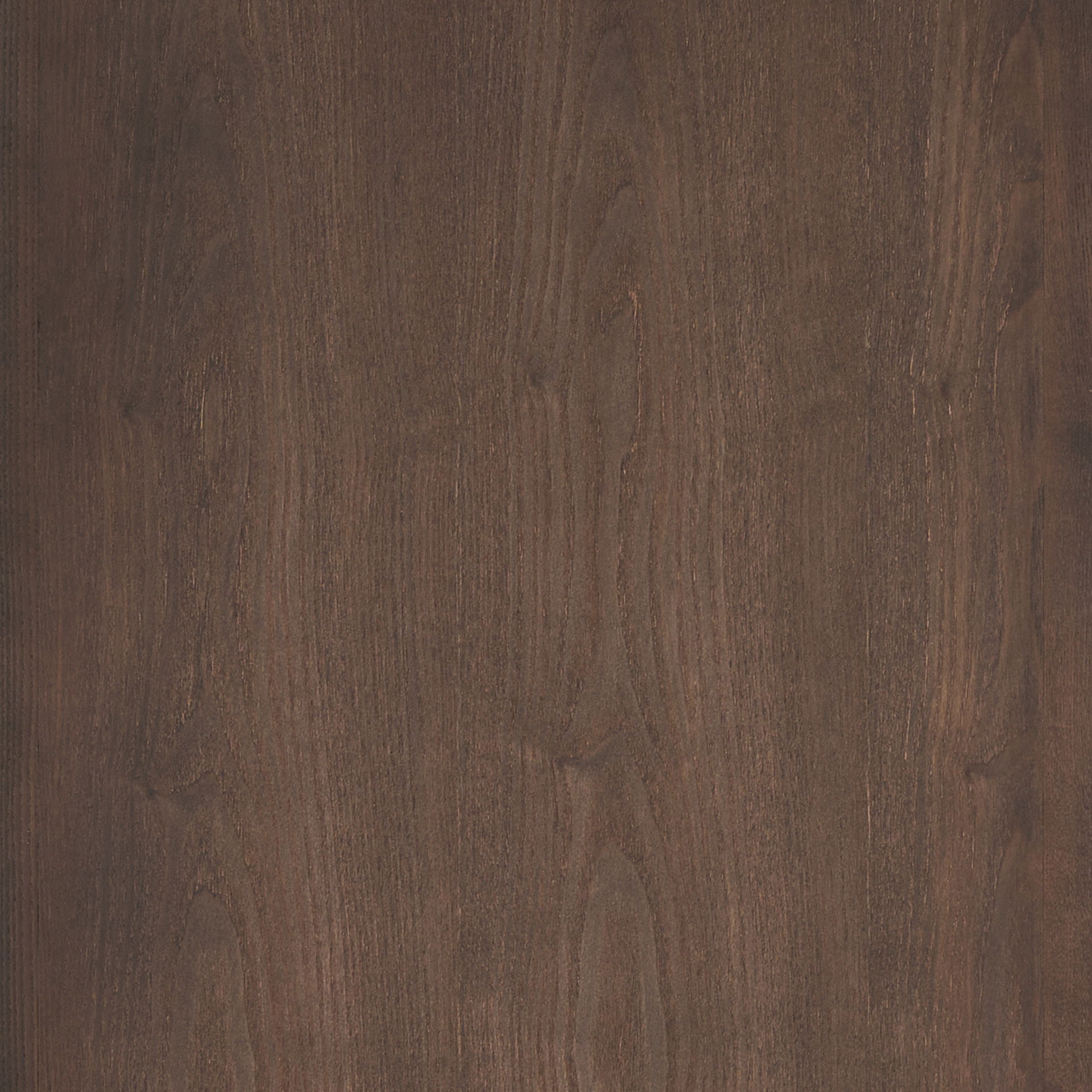 Teva Two Toned Dark with Light Wood Arched Curio Cabinet, Cabinets & Sideboard by Mercana, 39" length x 19" width x 84" height View 3