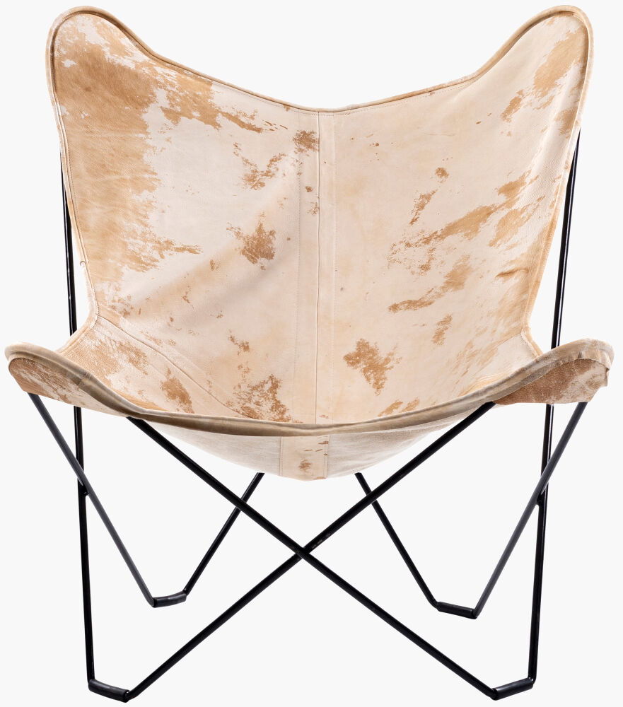 Nizhoni Accent Chair large image 