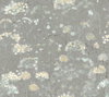 Botanical Fantasy Grey Wallpaper, by York Wall, 27' length x 2'3" width x 0.02" depth thumbnail
