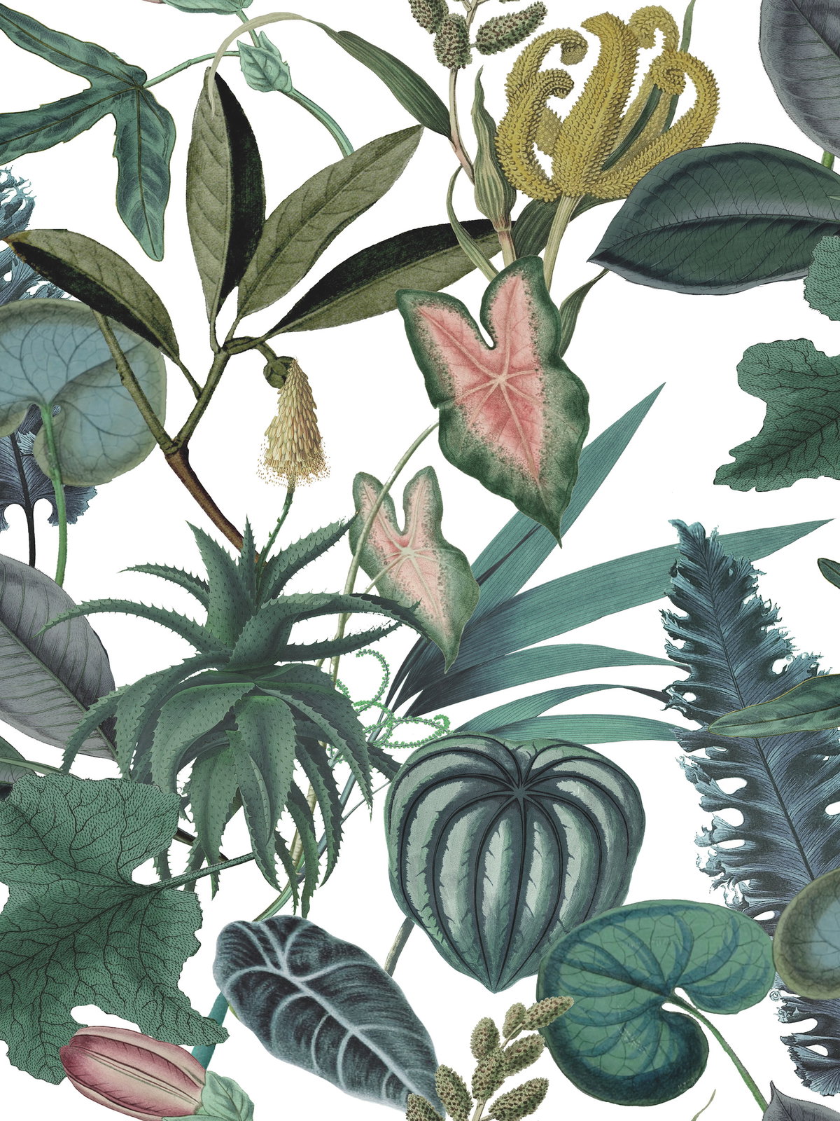 Tropical Green Peel & Stick Wallpaper, by York Wall, 18'10.8" length x 1'6" width x 0.02" depth