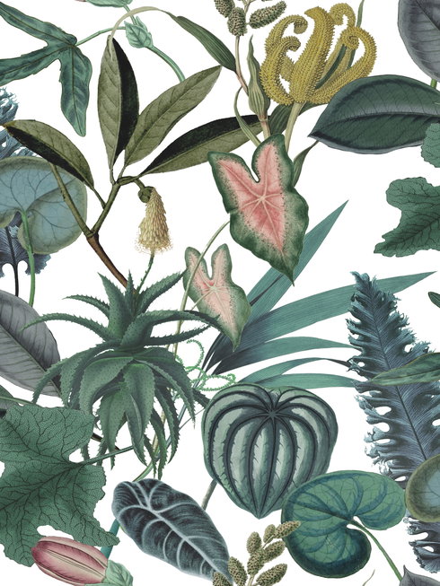 Tropical Green Peel & Stick Wallpaper