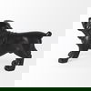 Hugo 5L x 13W Black Resin Bulldog thumbnail 4