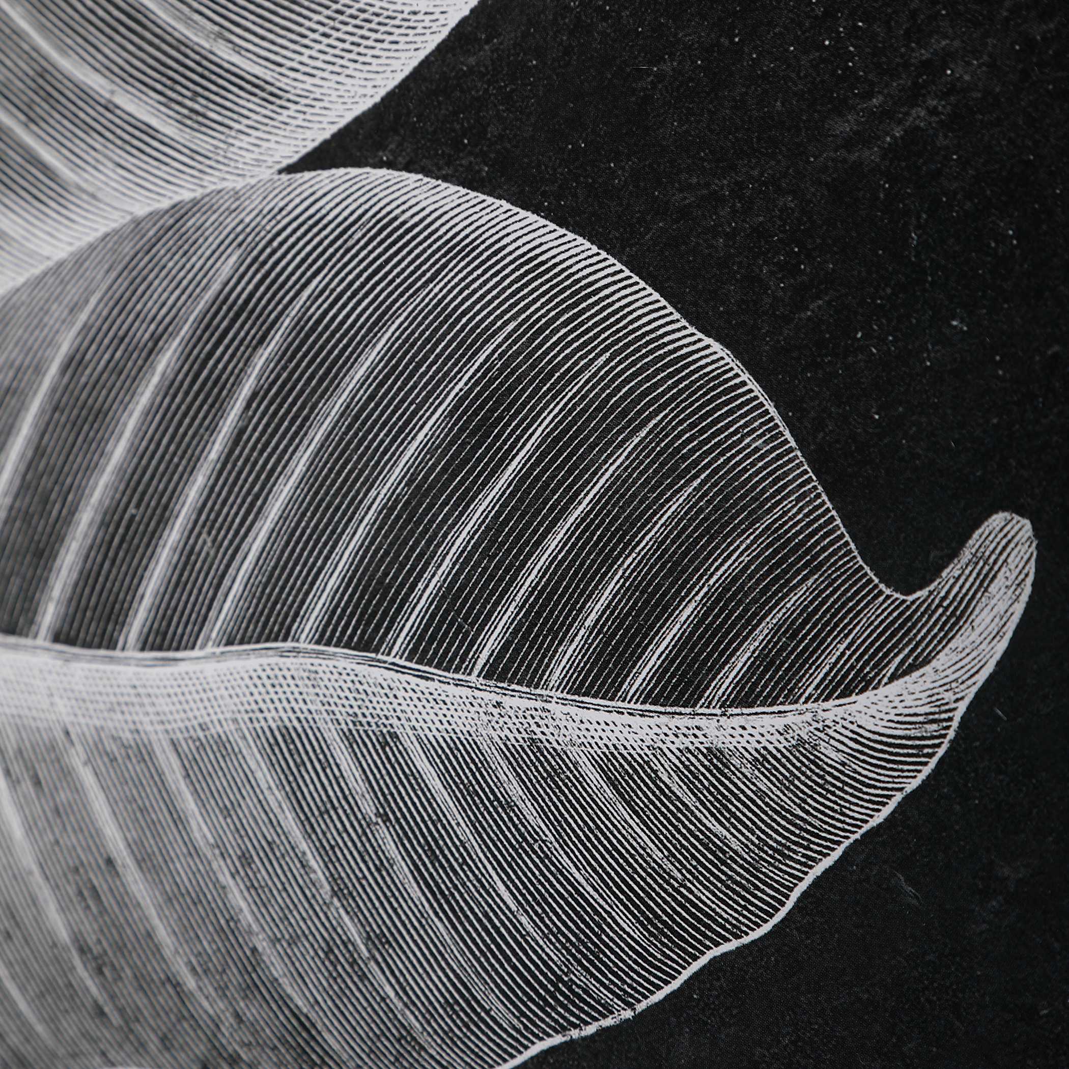 Foliage Framed Prints Set/6, Painting by Uttermost, 25.75" width x 33.75" height x 2.25" depth View 6