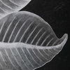 Foliage Framed Prints Set/6 thumbnail 5
