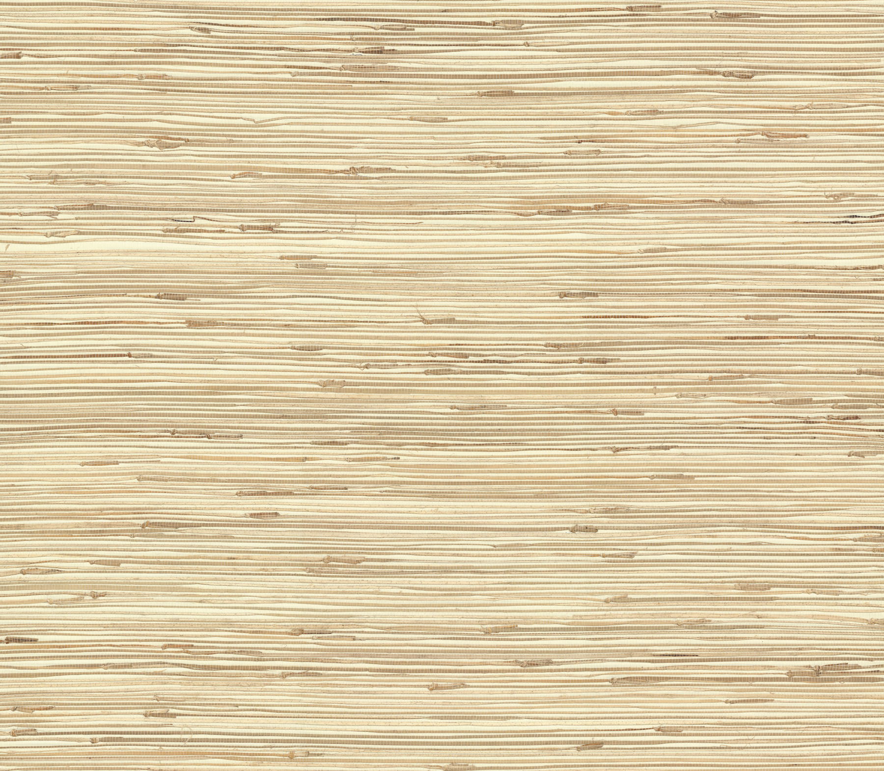 River Grass Beige Wallpaper, by York Wall, 24' length x 3' width x 0.02" depth View 1