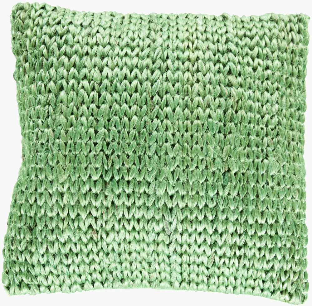 Tropics Accent Pillow, Decorative Pillow by Surya, 22" length x 22" width