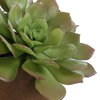 Sable Succulent Accent In Pot, Artificial Plants & Flower by Uttermost, 13.25" width x 8.5" height x 13.25" depth thumbnail 6