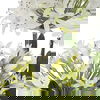 Purity Agapanthus Centerpiece thumbnail 4