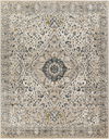 Davaro Machine Woven Rug, by Surya, 11'11.7" length x 9'2.24" width thumbnail