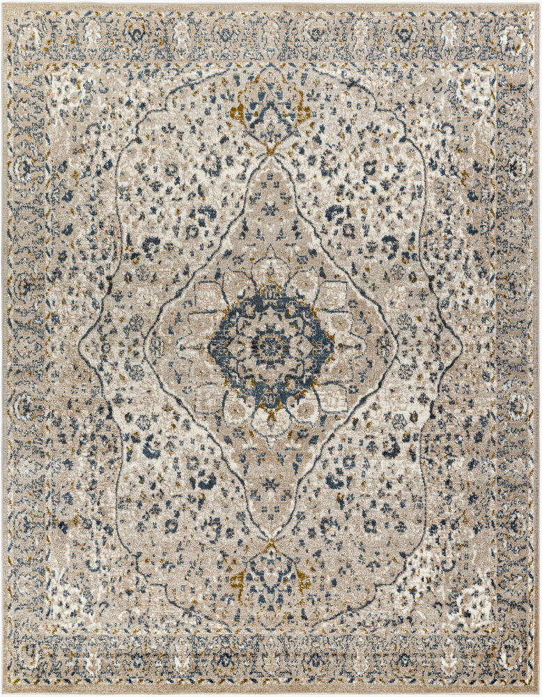 Davaro Machine Woven Rug, by Surya, 11'11.7" length x 9'2.24" width