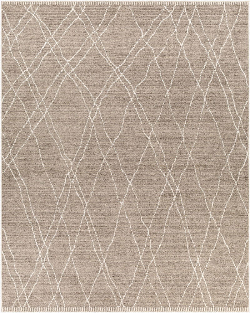 Cozy Machine Woven Rug large image 