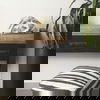 Fozzil 9L x 9W Resin Sabretooth Skull Replica thumbnail 2