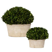 Online Designer Home/Small Office Oval Domes Preserved Boxwood Set/2