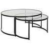 Rhea Black Nesting Coffee Tables Set/2 thumbnail 0