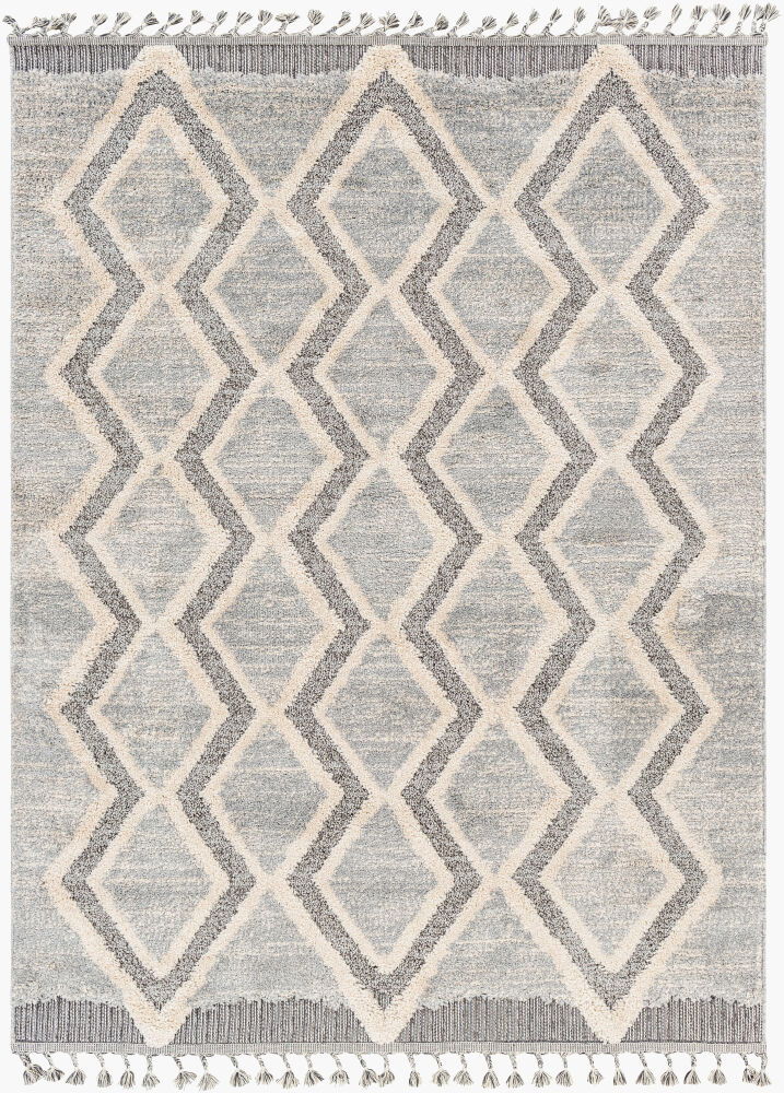 Sousse Machine Woven Rug, by Surya, 1'6.11" length x 1'6.11" width