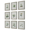 Antique Botanicals Framed Prints, S/9 thumbnail 4