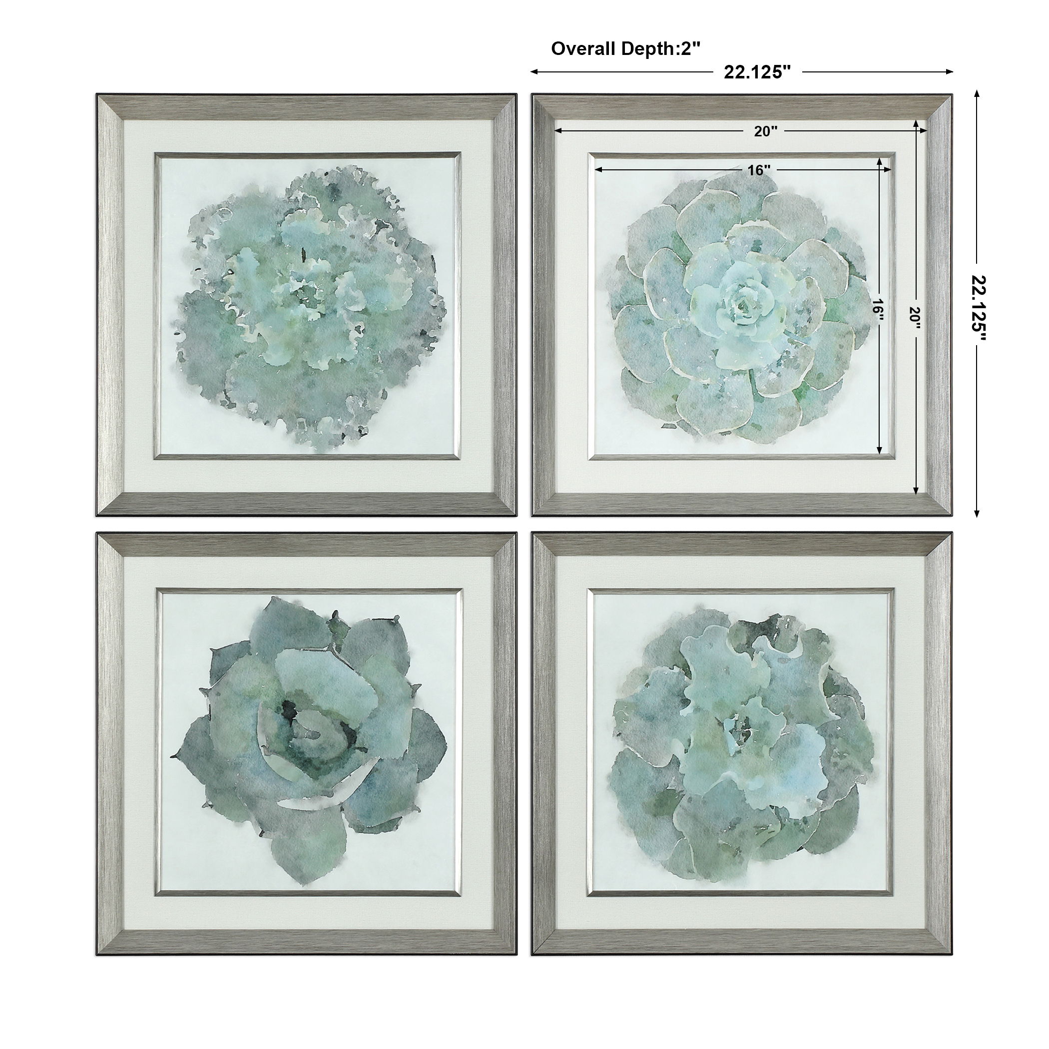 Natural Beauties Botanical Prints Set/4, Painting by Uttermost, 22.12" width x 22.12" height x 2" depth View 3