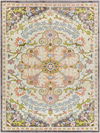 New Mexico Machine Woven Rug, by Surya, 10'2.05" length x 7'10.49" width thumbnail