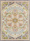 New Mexico Machine Woven Rug, by Surya, 11'11.7" length x 8'10.3" width thumbnail