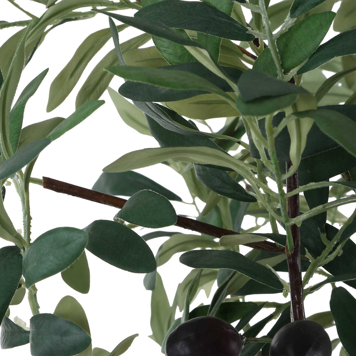 Sonora Olive Tree In Planter, by Uttermost, 2'9" width x 7'5.25" height x 2'7.5" depth View 6