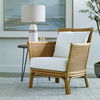 Pacific Rattan Armchair thumbnail 1