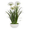 Purity Agapanthus Centerpiece thumbnail 2