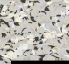 Acanthus Toss Black & Grey Wallpaper thumbnail 0