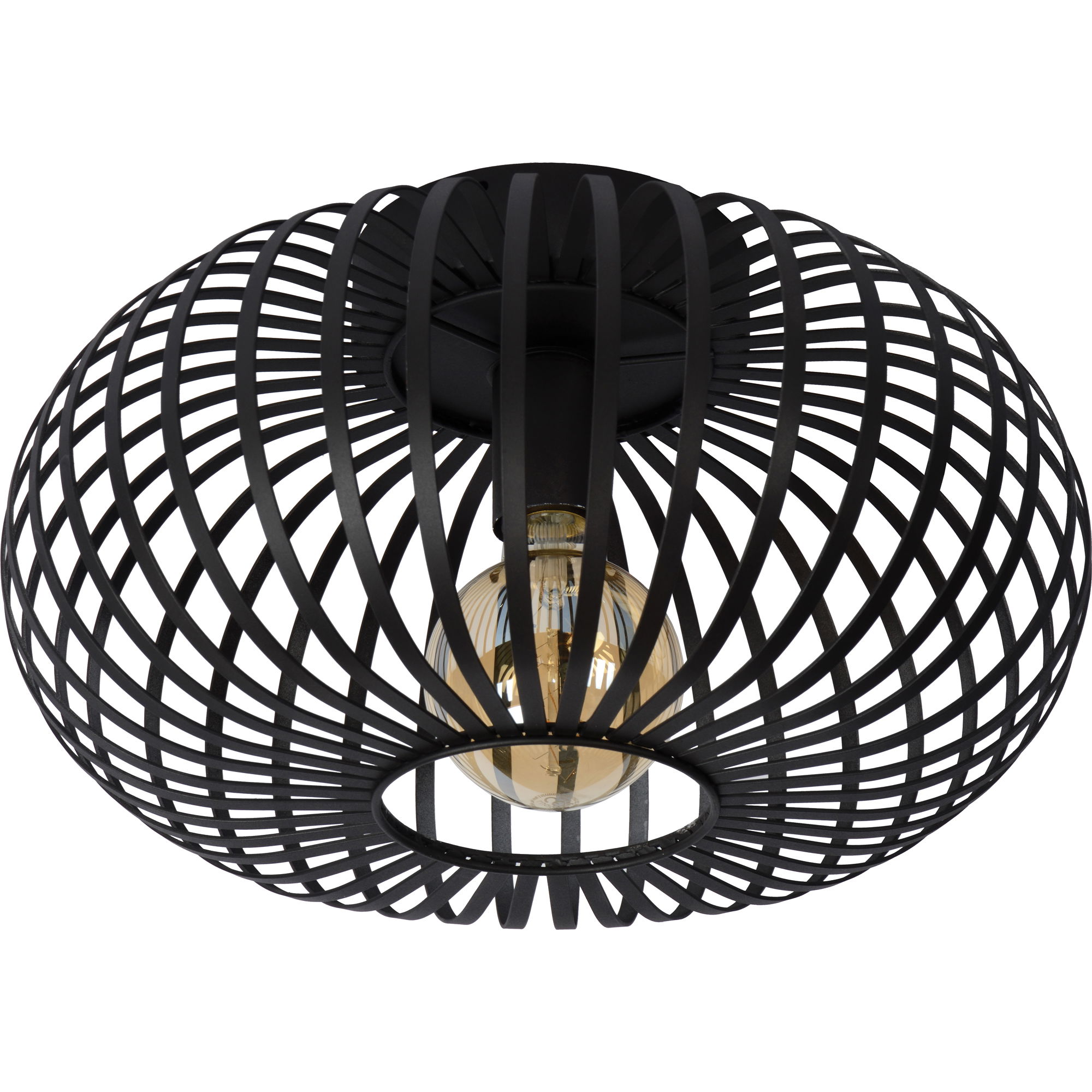 Ivy Ceiling Fixture large image 
