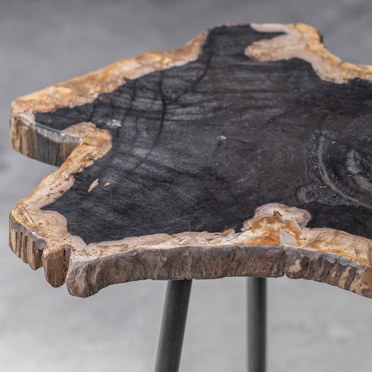 Mircea Petrified Wood Accent Table, Side & End Table by Uttermost, 16" width x 20" height x 16" depth View 8