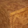 Indus 2 Drawer Burl Chest, Cabinets & Chest by Uttermost, 30" width x 30" height x 17" depth thumbnail 7