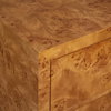 Indus 2 Drawer Burl Chest, Cabinets & Chest by Uttermost, 30" width x 30" height x 17" depth thumbnail 7